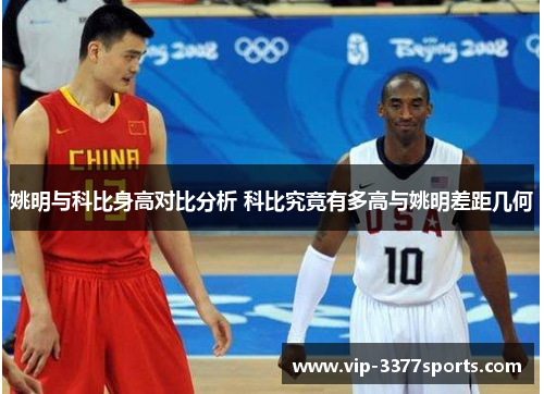 姚明与科比身高对比分析 科比究竟有多高与姚明差距几何