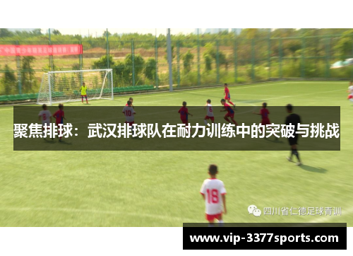聚焦排球：武汉排球队在耐力训练中的突破与挑战