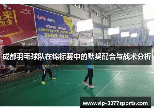 成都羽毛球队在锦标赛中的默契配合与战术分析