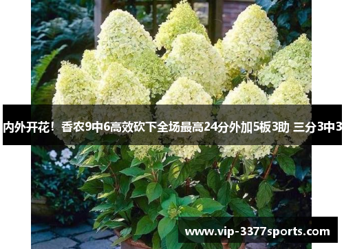 内外开花！香农9中6高效砍下全场最高24分外加5板3助 三分3中3