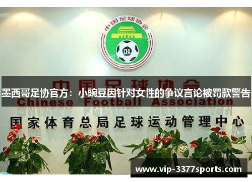 墨西哥足协官方：小豌豆因针对女性的争议言论被罚款警告